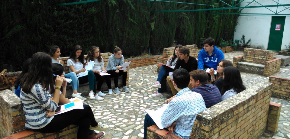 Un 2016 cargado de novedades para Grupos Cordare