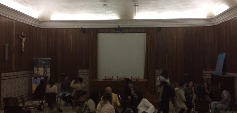 imagen14