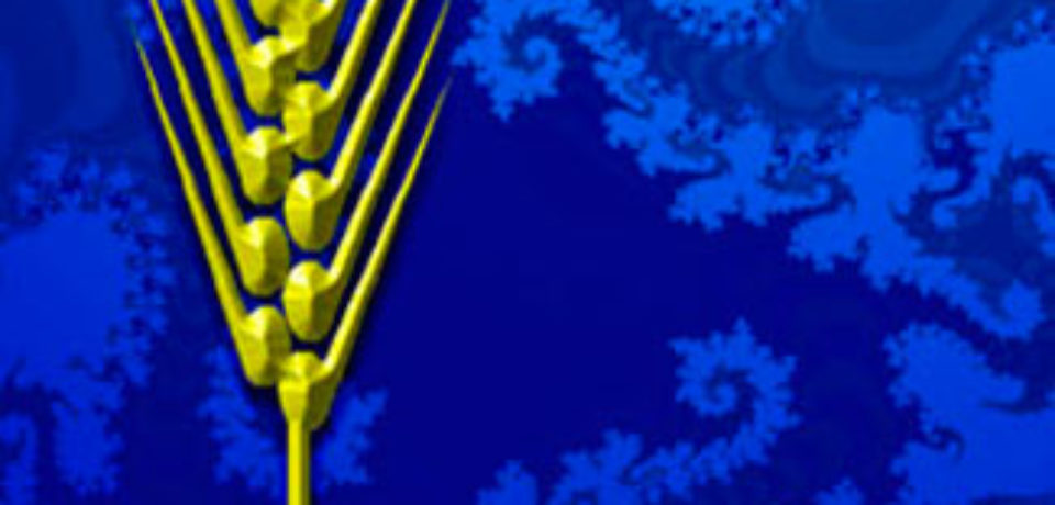 El domingo del grano de trigo 5 Cuaresma B