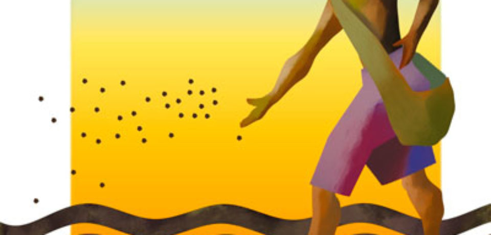 El domingo de la semilla y el grano de mostaza 11 TO ciclo B