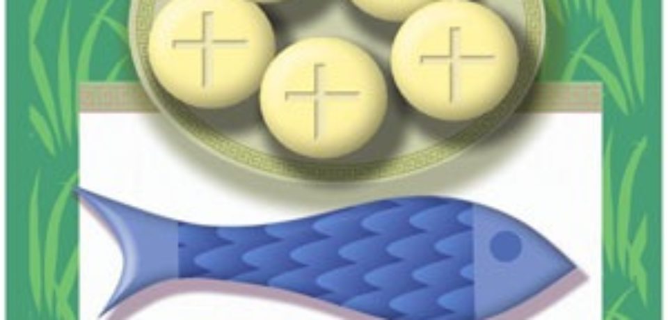 El domingo de la multiplicación de la Vida plena 17 TO. B