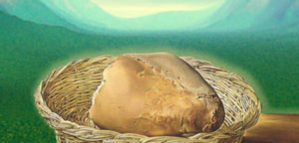 El domingo del Pan de Vida 18 TO B