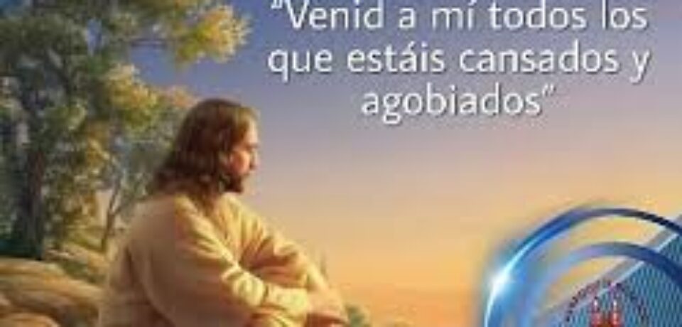 El domingo de la sencillez y la humildad 14º TO ciclo A