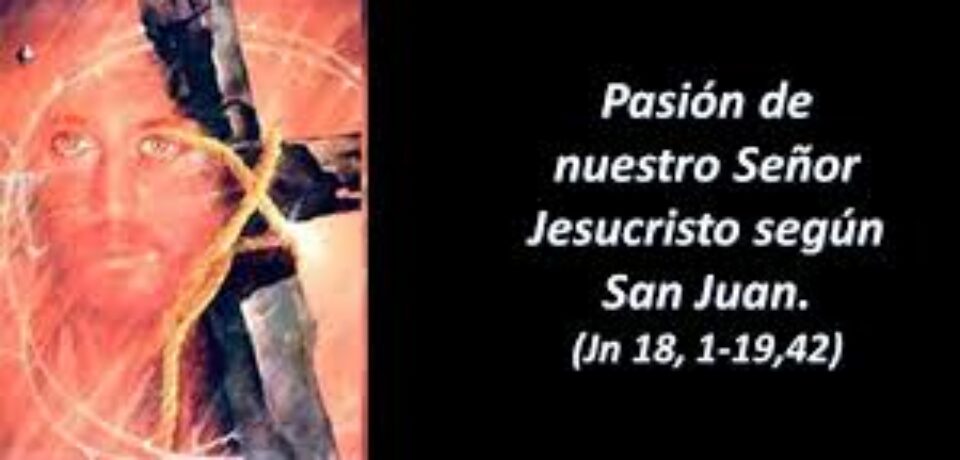 Viernes Santo: “cuando en el árbol de la Cruz estuvo clavada la salvación del mundo” ciclo C