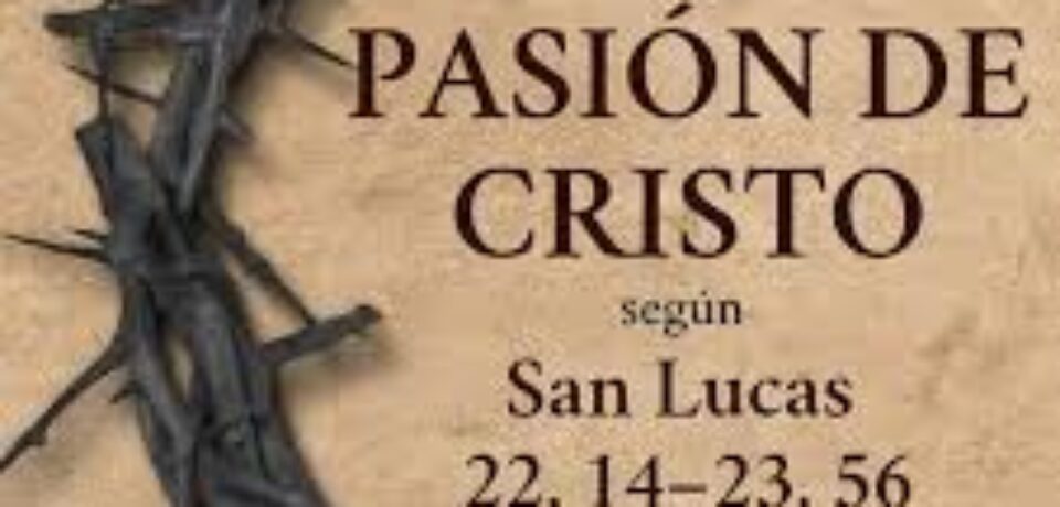 Domingo de Ramos en la Pasión del Señor ciclo C