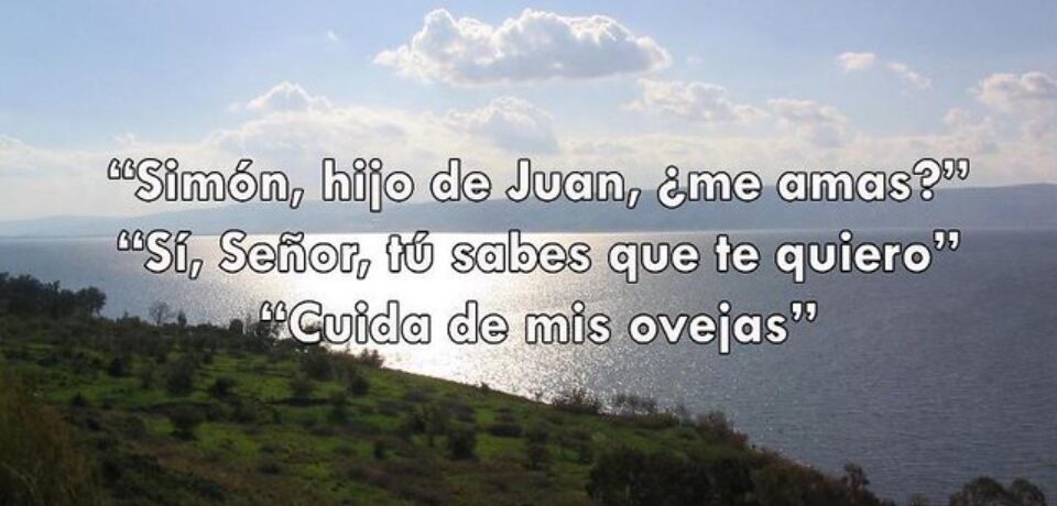 El domingo del Amor y la misión 3º Pascua ciclo C