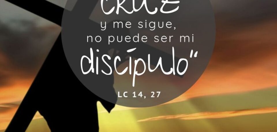 El domingo del desprendimiento y la renuncia 23º TO ciclo C