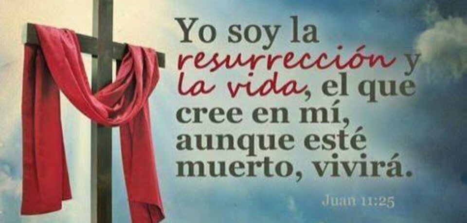 El domingo de la Esperanza (Solemnidad de los fieles difuntos) 31º TO ciclo C