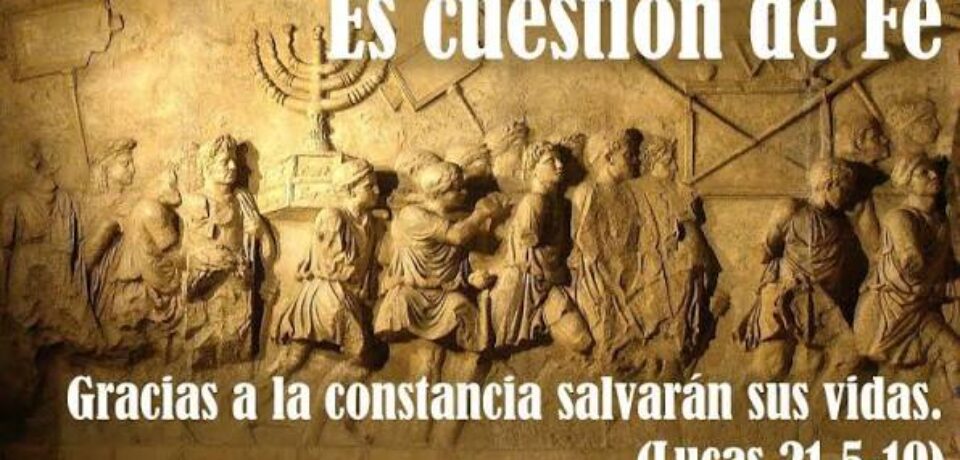 El domingo de la perseverancia y la lealtad 33º TO ciclo C