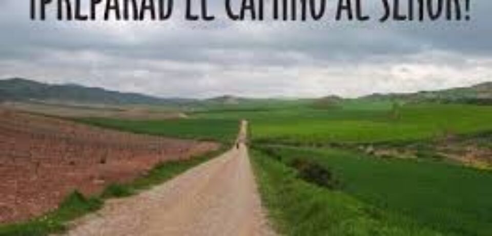 El domingo de la preparación del camino del Señor 2º Adviento ciclo A