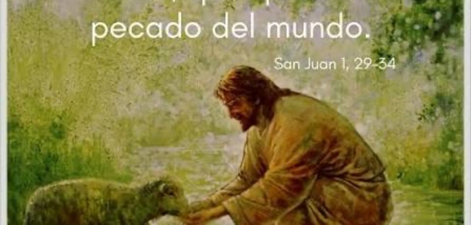 El domingo del Cordero de Dios 2ºTO ciclo A