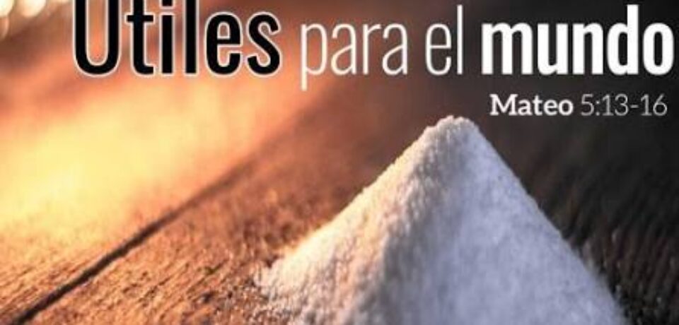 El domingo de la sal y de la luz 5º T.O ciclo A